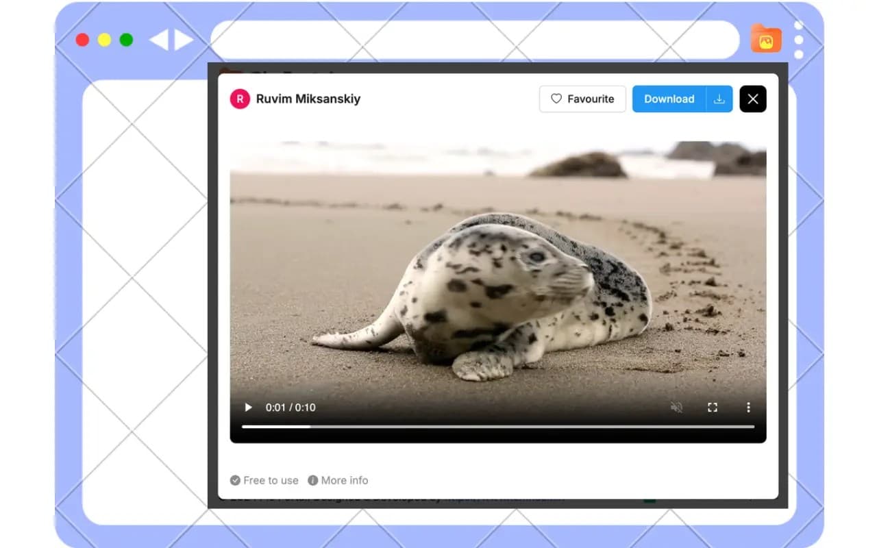 PicPortal screenshot 3
